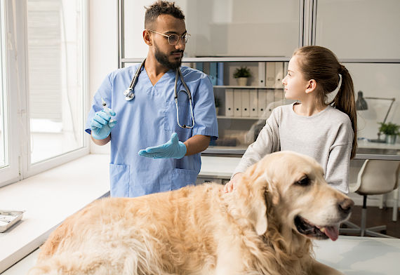 veterinaire-a-domicile vétérinaire à domicile