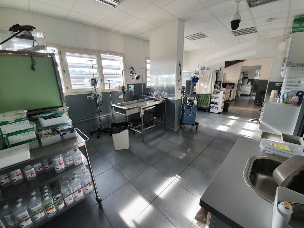 Page De Garde Clinique Vétérinaire