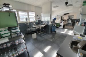 salle de soins vétérinaire de garde Toulon