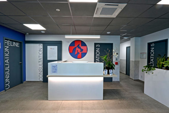 urgence-veterinaire-lyon-7 urgence vétérinaire lyon 7