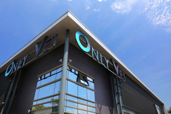 urgence-veterinaire-lyon-8 urgence vétérinaire lyon 8