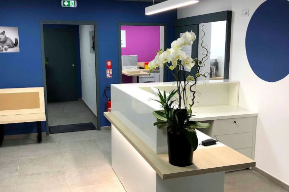 urgences-veterinaires-saint-priest Urgence vétérinaire Saint Priest