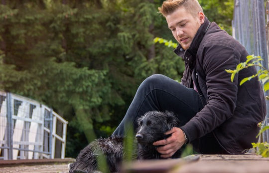 chien avec son maitre chien avec son maitre