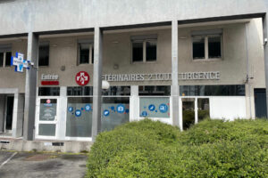 Actualités Devanture urgence vétérinaire Saint-Étienne