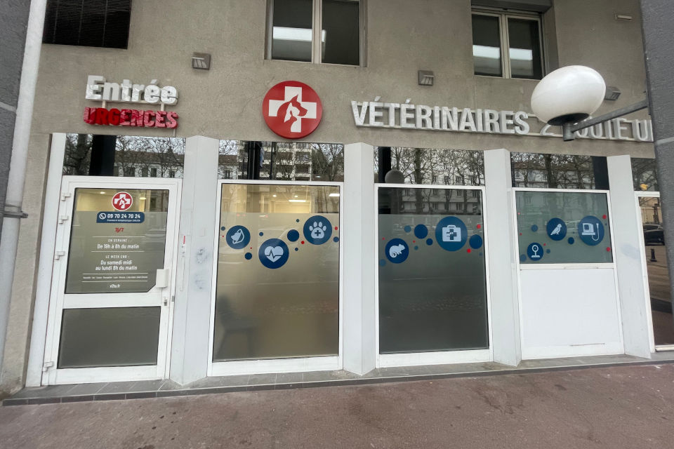 urgence vétérinaire Saint-Étienne