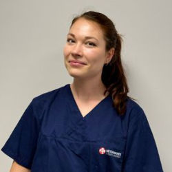 Dr Vétérinaire Olivia Laugine