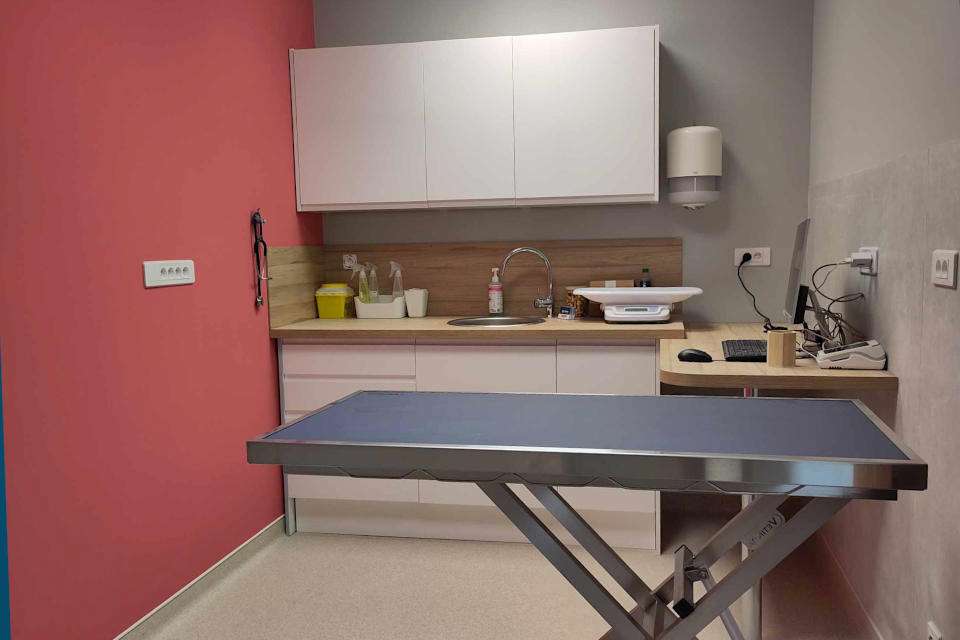 Urgence V t rinaire Clermont Ferrand 04 88 60 20 50