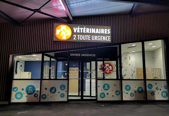Urgence vétérinaire Clermont-Ferrand