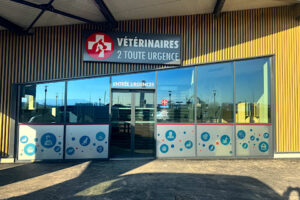 Actualités Devanture urgence vétérinaire Clermont-Ferrand