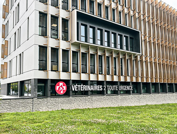 urgence vétérinaire Rennes