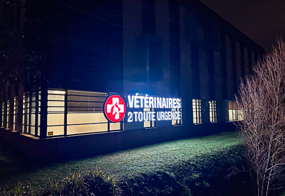 urgence-veterinaire-lille urgence vétérinaire Lille