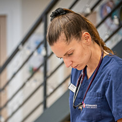 DR vétérinaire Enora GAHERY