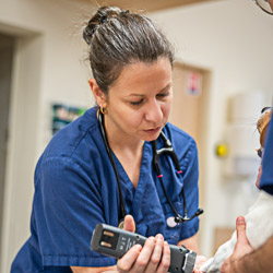 DR vétérinaire Mélanie MIEGEVILLE