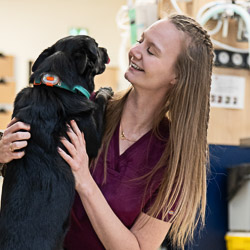 ASV Chloé DEVODERRE