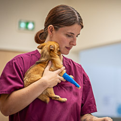 ASV Morgane BLANCART