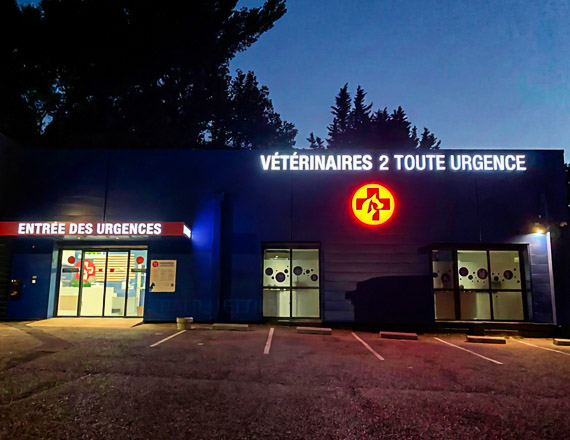 urgence vétérinaire Marseille